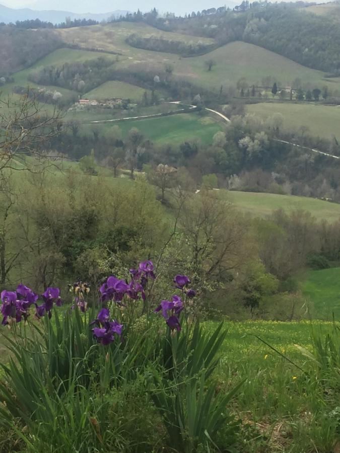 Green B&B Urbino Ca Del Vento المظهر الخارجي الصورة