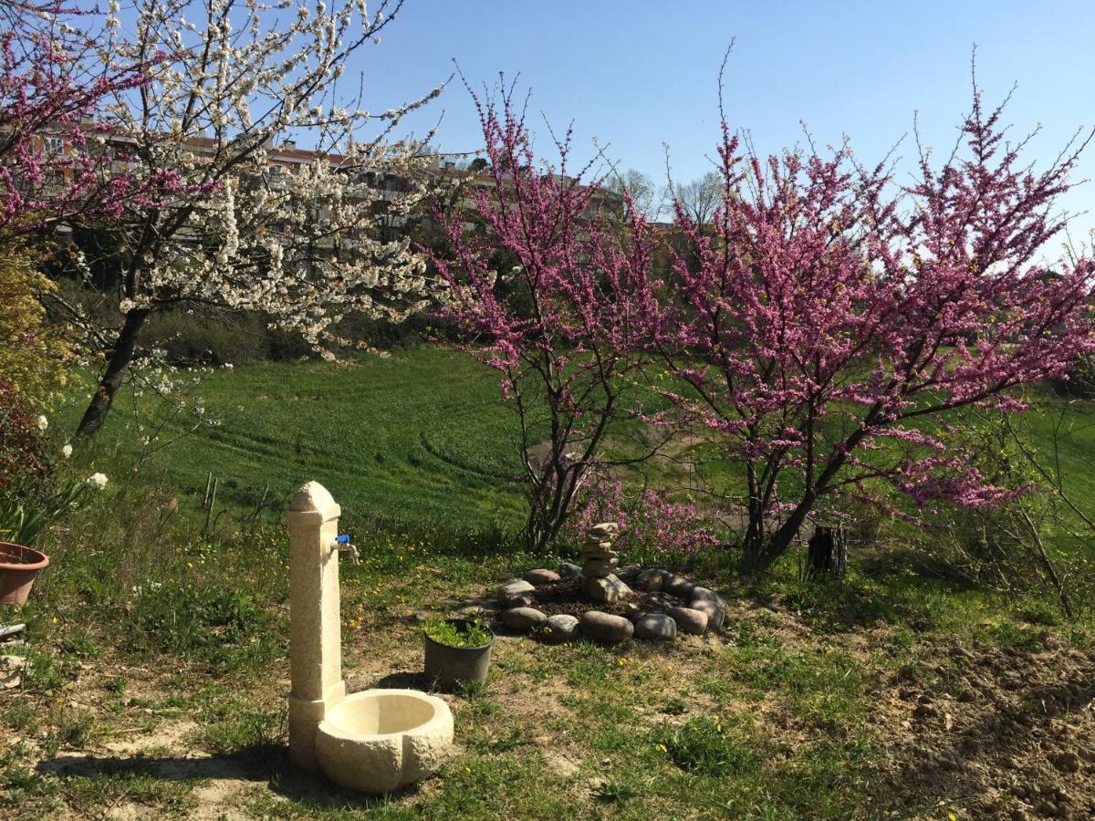 Green B&B Urbino Ca Del Vento المظهر الخارجي الصورة